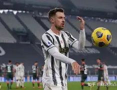 球天下体育官网-尤文图斯主力队员